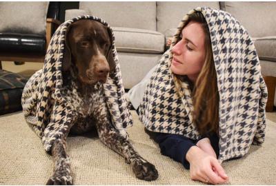 Separation Anxiety in Dogs