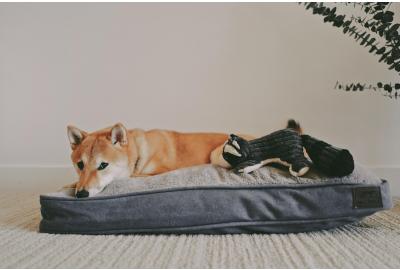 Creating Comfort in a Time of Chaos