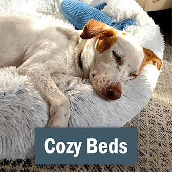 Dog Beds