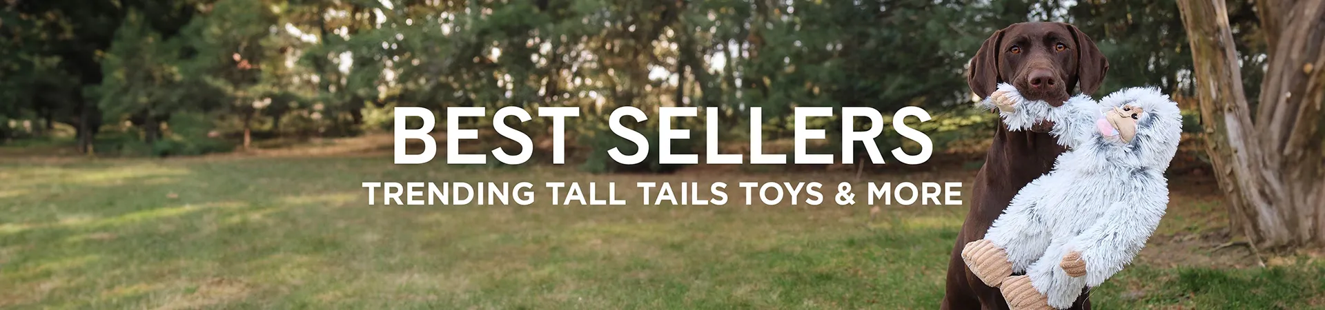 Best Sellers
