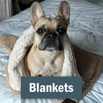 Dog Blankets