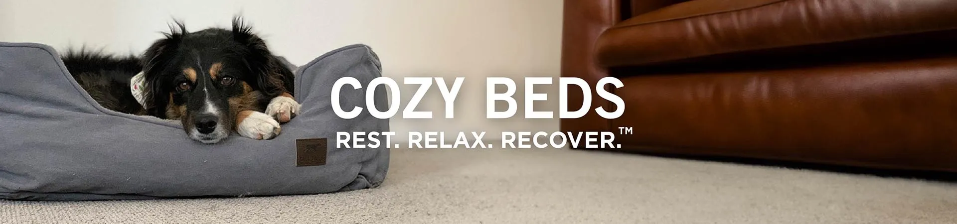 Dog Beds