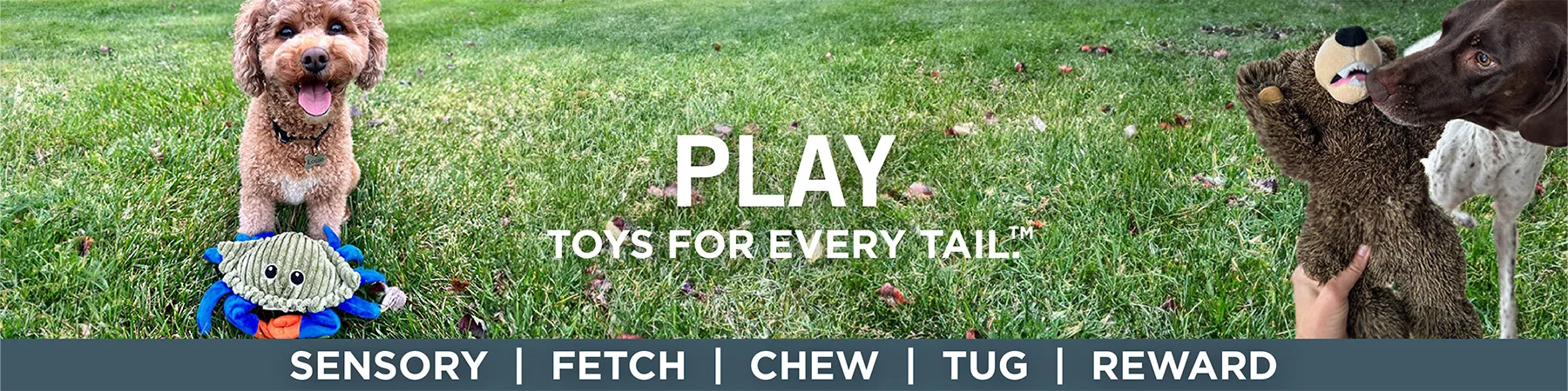 Play