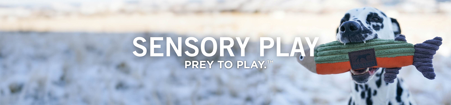 Sensory Dog Toys