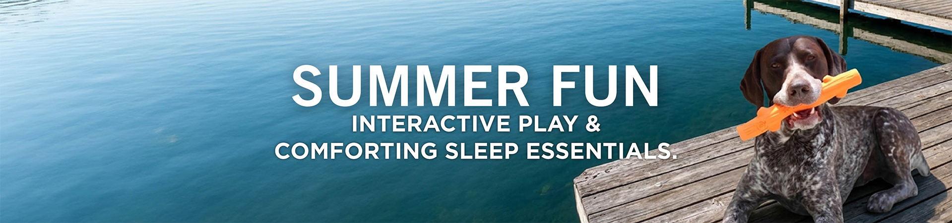 Summer Fun Essentials 