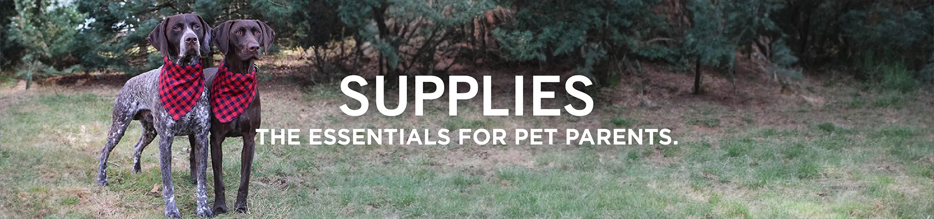 Supplies