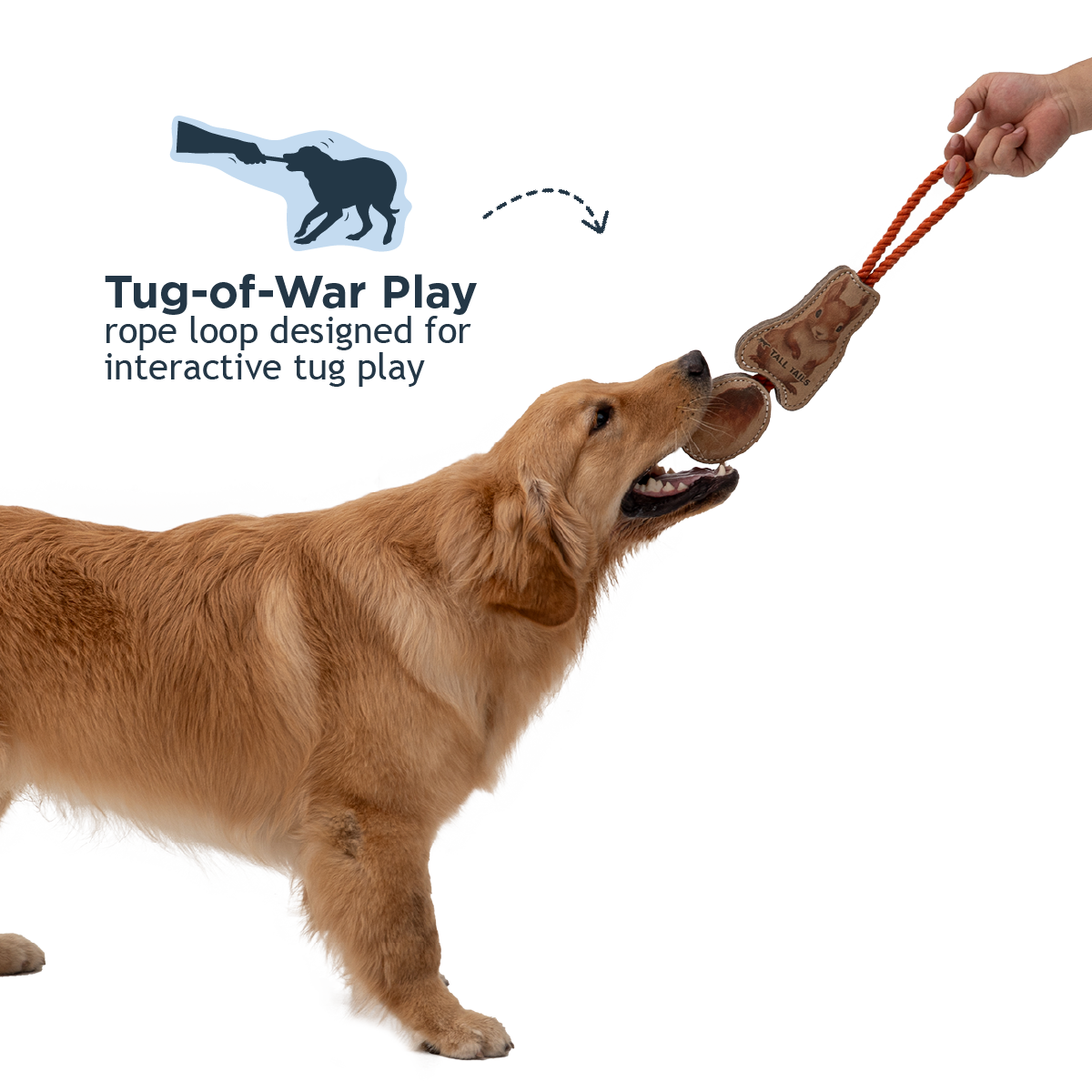 Natural Leather Jointed Squirrel Tug Dog Toy - additional image