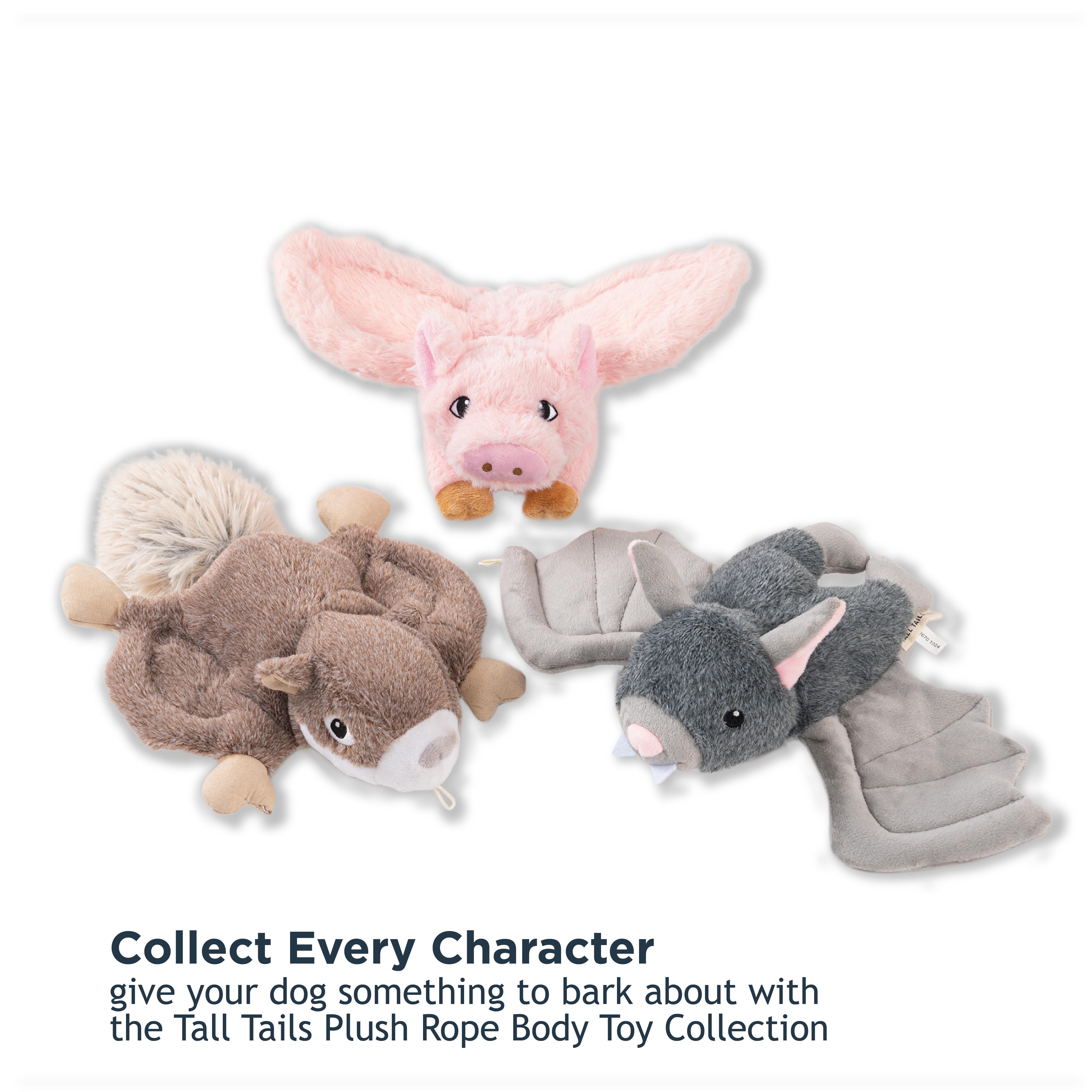 Fling and Fetch Toy for Dogs - additional image