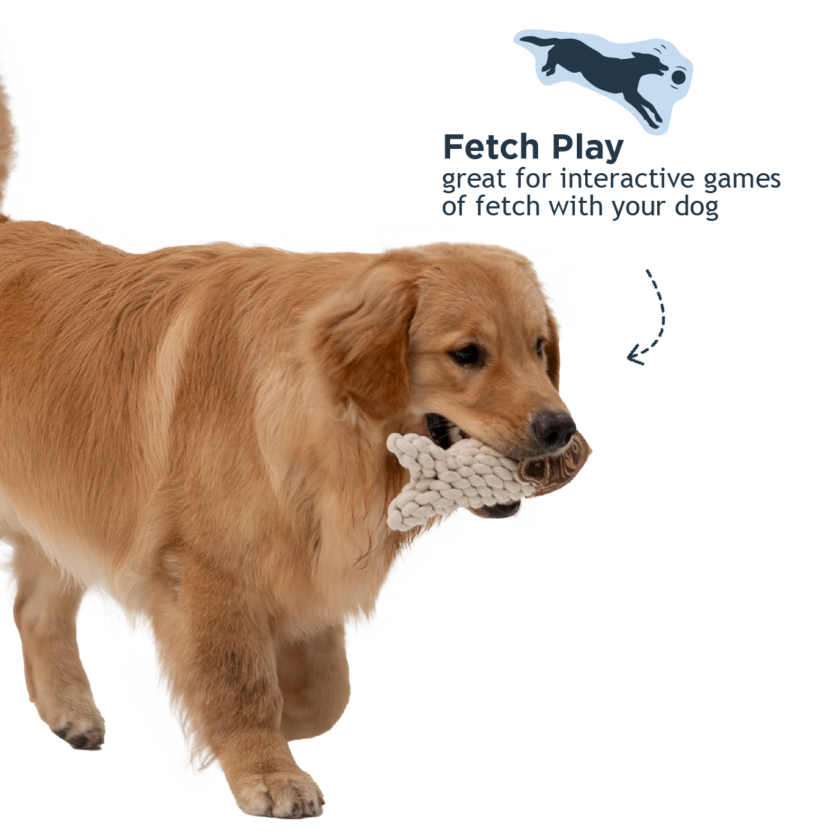 Natural Leather Crunch Fish Rope Dog Toy - additional image