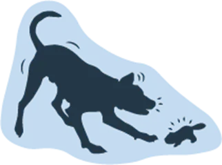 Crunch & Tug Fun