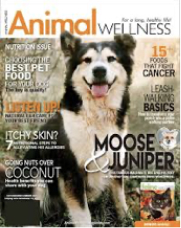 Featured in magazine five