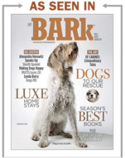 DFeatured in magazine four