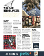 Featured in magazine one