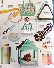 Featured in magazine three
